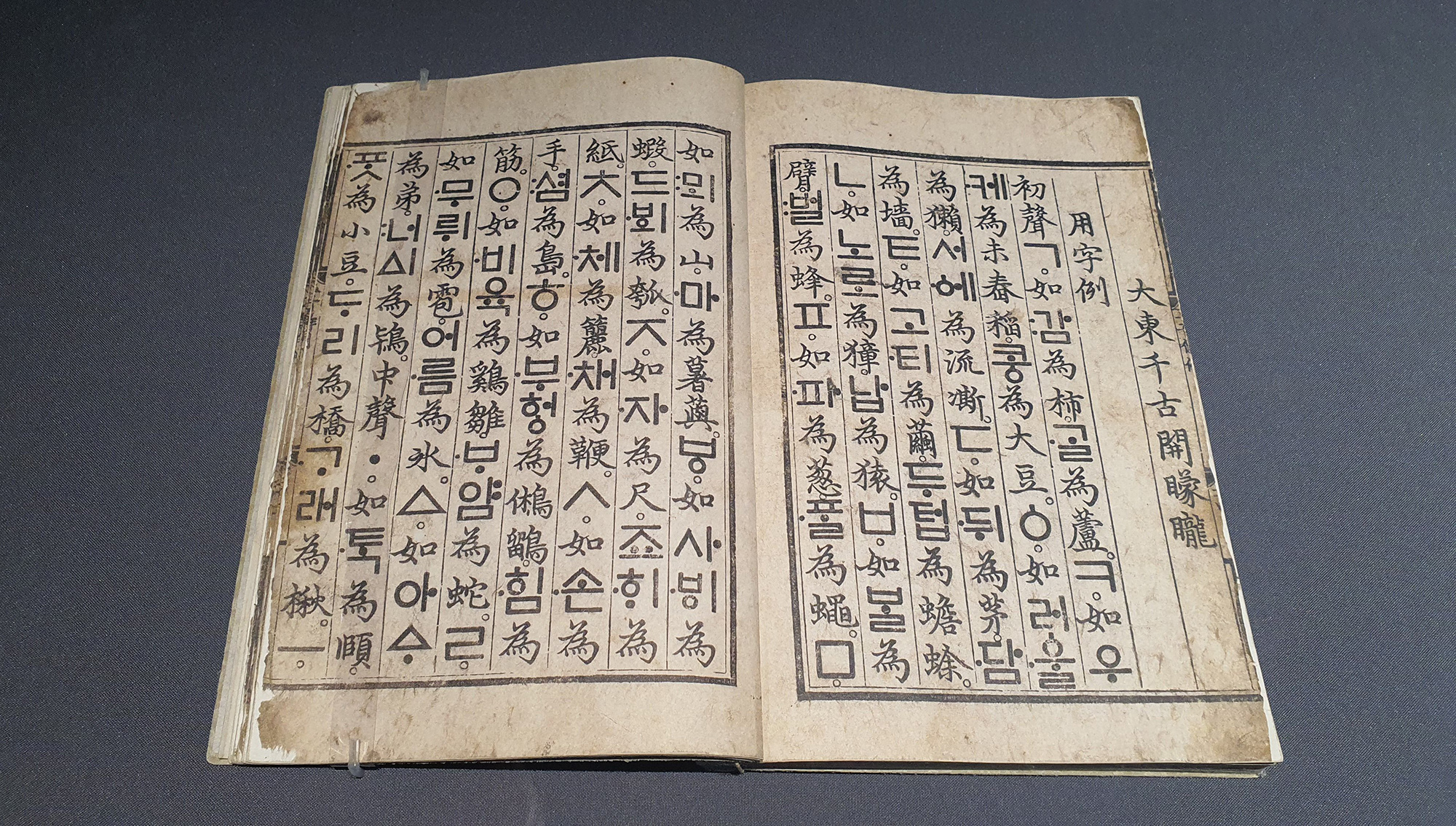 오징어한글